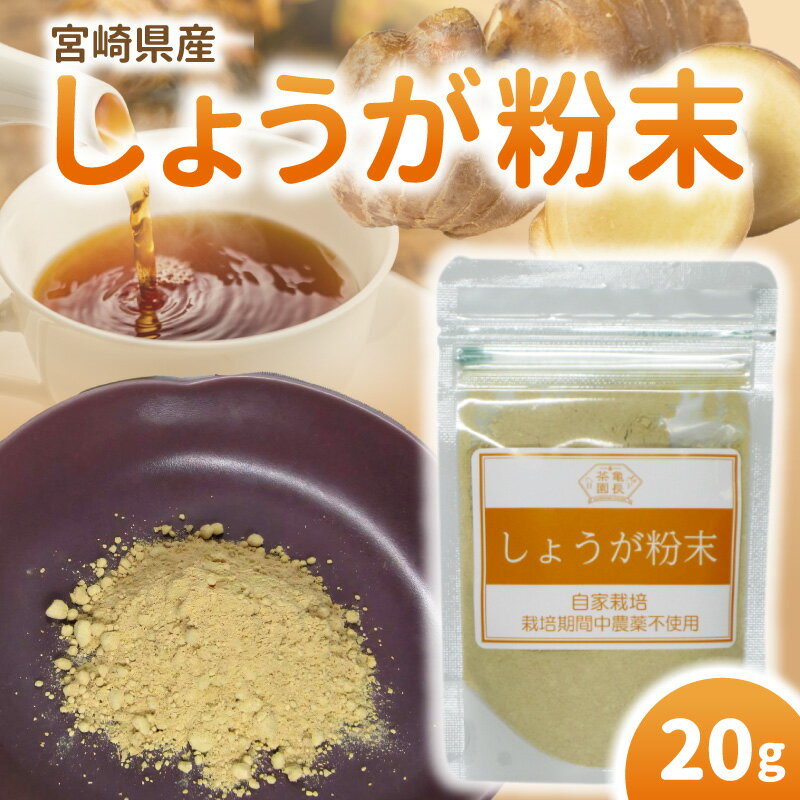 【ふるさと納税】宮崎県産 しょうが粉末 20g 自家栽培 栽培期間中農薬不使用 体を温める効果 免疫力 普段の料理にかかせない しょうが焼き 魚料理 ぎょうざ 紅茶 料理 便利 しょうが 粉末 国産 宮崎県 延岡市 お取り寄せ 送料無料