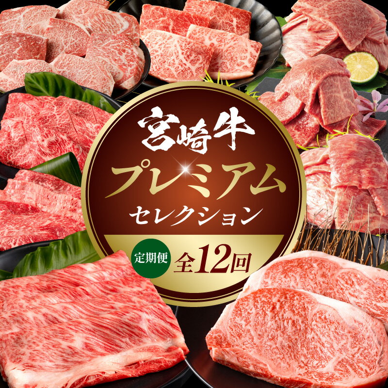 【ふるさと納税】＼宮崎牛の人気返礼品を詰め込みました！／【12回定期便】宮崎牛プレミアムセレクション 定期便 牛肉 肉 お肉 精肉 牛 宮崎牛 ブランド牛 国産牛 宮崎県産 国産 焼肉 すき焼き ステーキ スライス BBQ 贈答 贈り物 ギフト 小分け パック 人気 おすすめ 宮崎市