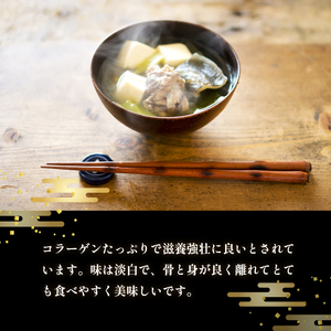 【4月お届け】綾部で育てた！！スッポン鍋 1kg  （2～3人前） すっぽん 鍋