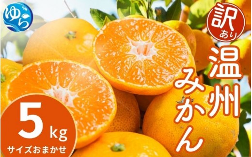 
                  訳あり 温州みかん 5kg (サイズおまかせ)【eiw004-c-5】
                