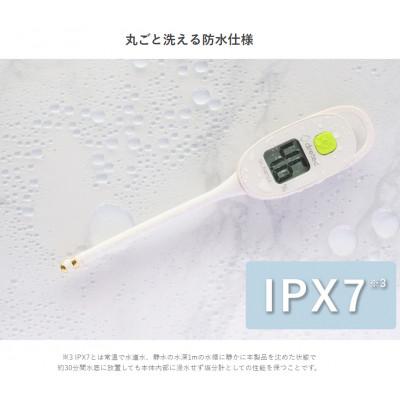 ふるさと納税 川口市 ドリテック 塩分管理計 アイボリー EN-905RIV |  | 02