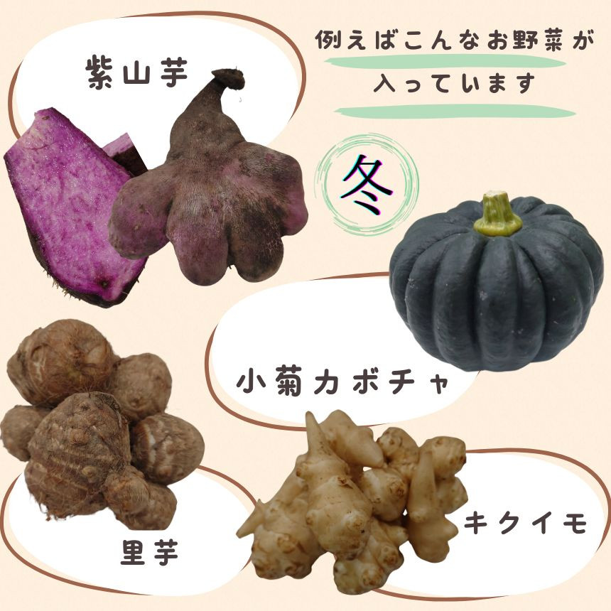 冬・例えばこんなお野菜が入っています