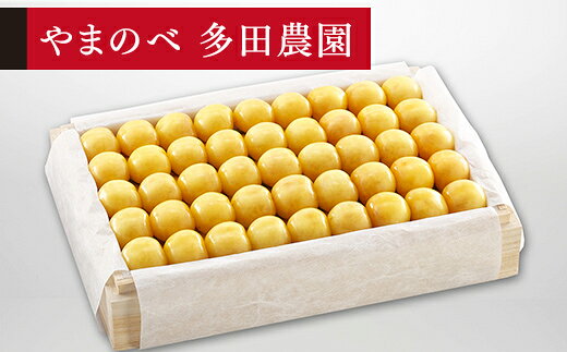 【ふるさと納税】《先行予約》2027年 山形県産 特選月山錦 桐箱詰め 約1100g やまのべ多田耕太郎のさくらんぼ ギフト 贈答 贈り物 送料無料 F20A-064