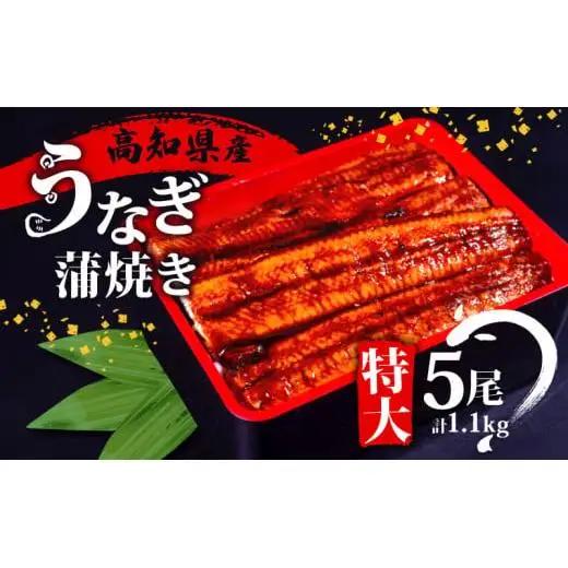 【 うなぎ蒲焼 】 うなぎ蒲焼 220g 5尾