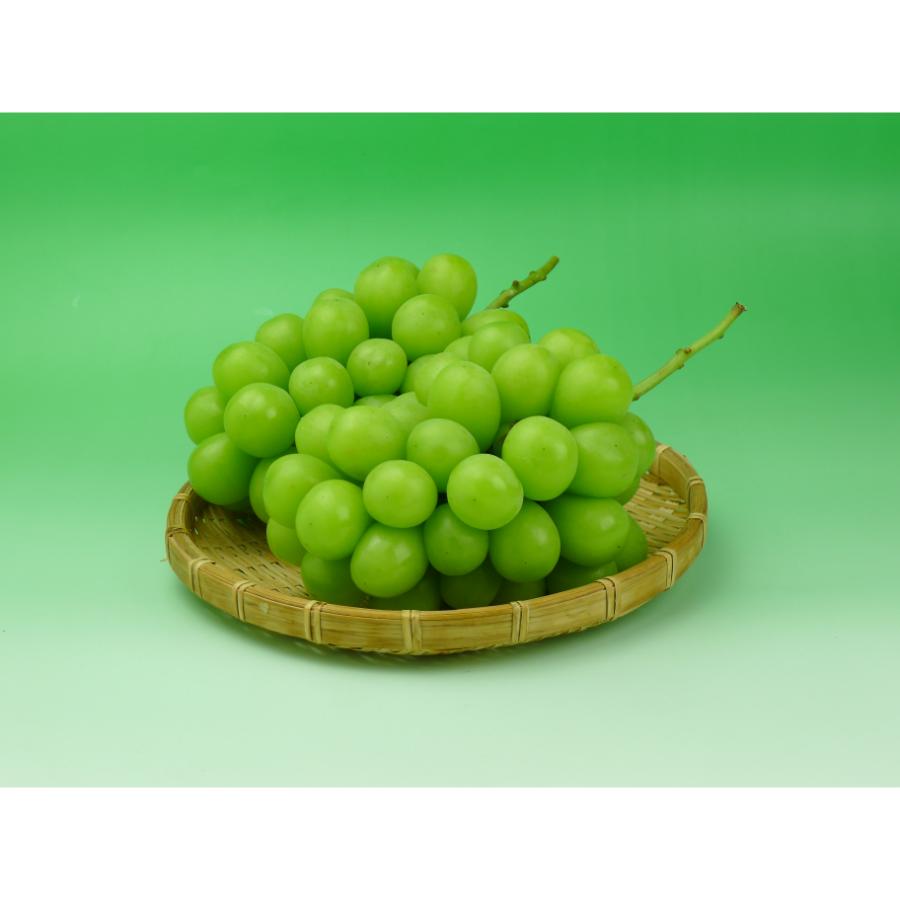 シャインマスカット1kg【2～3房】旬のもぎたて特秀品