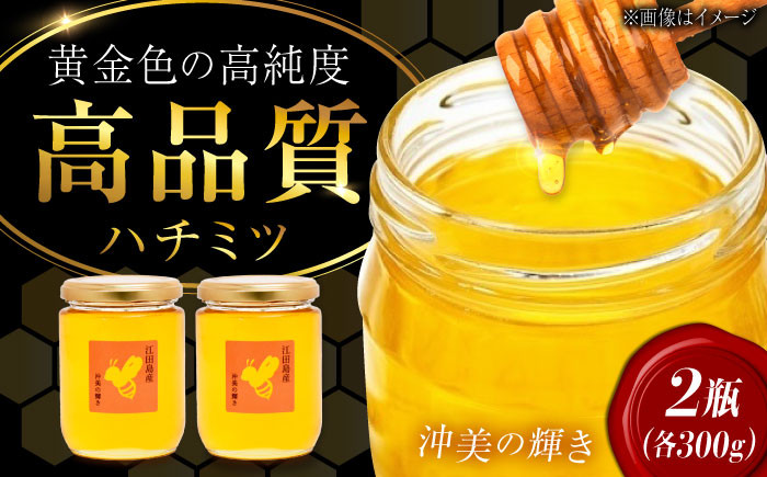 
            江田島産100％ はちみつ『沖美の輝き』300g×2本 ハチミツ 蜂蜜 国産 広島 江田島市/はつはな果蜂園 [XCD004] ハチミツ 国産蜂蜜 国産はちみつ 国産純粋はちみつ 蜜 蜂蜜 はちみつ ハニー honey 人気ハチミツ 日本蜜蜂 純粋はちみつ 常温 保存 備蓄 防災食 非常食 保存食 産地直送 国産
          