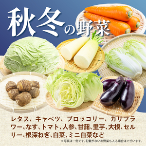 【2026年11月発送 秋冬野菜】三島野菜詰め合わせセット 8種類以上 JAふじ伊豆 ファーマーズマーケット みしまるかん お取り寄せ グルメ 野菜 旬の詰め合わせ 三島市 静岡県