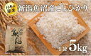 【ふるさと納税】新潟魚沼産こしひかり（精米）5kg　【 米 お米 おこめ こめ 精米 白米 こしひかり 新潟 】