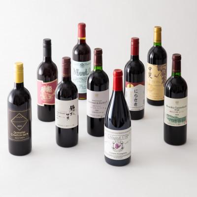 ふるさと納税 韮崎市 赤ワイン好き必見!赤ワイン9本 飲み比べセット　750ml×8本　720ml×1本