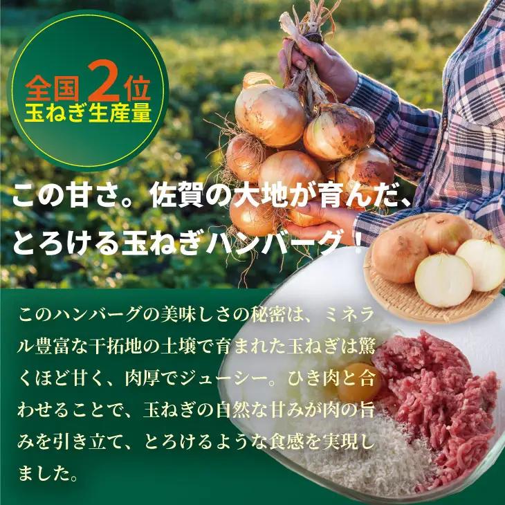 佐賀牛を使った贅沢ハンバーグ（150g X 6） ハンバーグ B120-084