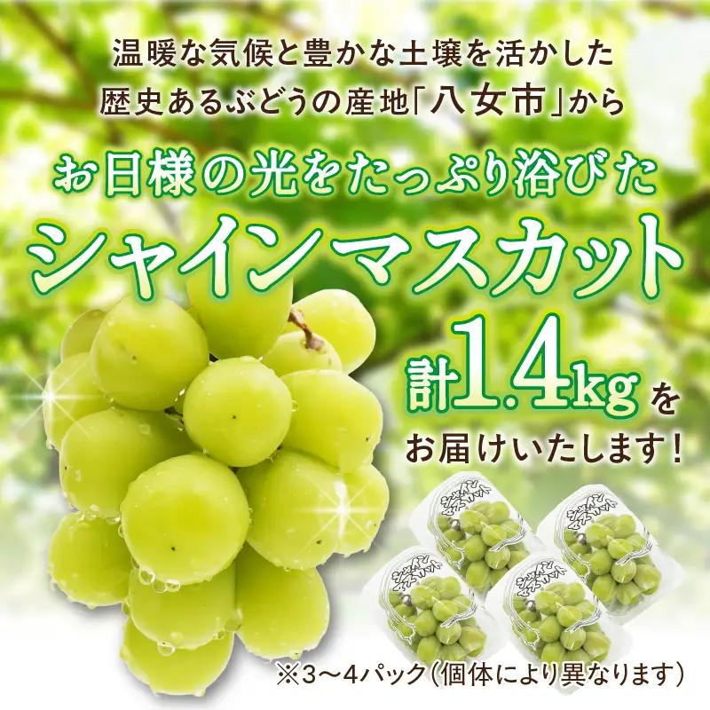【先行受付】【2026年発送】九州福岡フルーツ王国八女 大粒入りシャインマスカット 約1.4kg【数量限定】＜配送不可：北海道・沖縄・離島＞ 数量限定 約1.4kg 高糖度 大粒 厳選 果物 くだもの