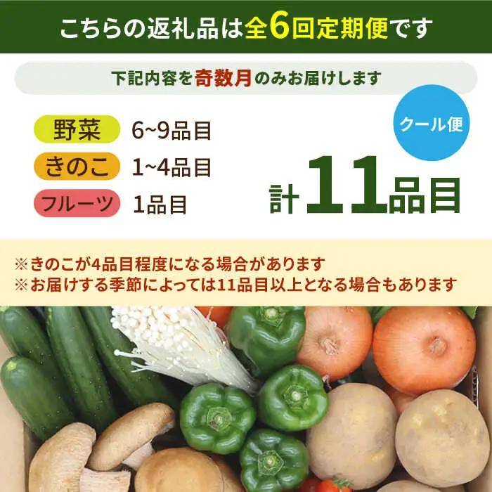 【6回奇数月】野菜定期便 11品目 野菜セット [SCZ005] 
