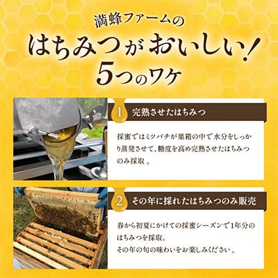 ふるさと納税 湖西市 浜名湖ほとり 渚みかんはちみつ・みなと百花はちみつ 各460g・みなと百花はちみつ 300g　3本 |  | 01