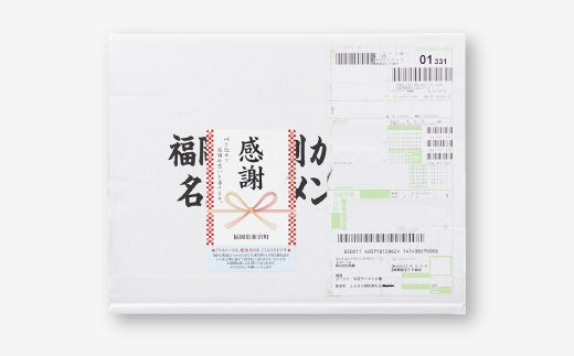 ZF079.博多ごぼ天うどん１０食