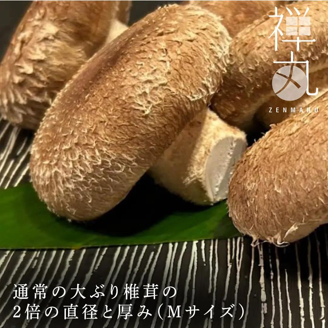 【 訳あり/不揃い 】禅丸椎茸 1kg (250g×4パック) 【岩手県紫波町産】 (FG001)