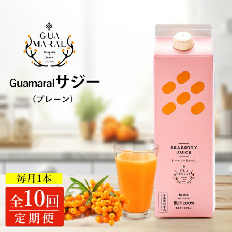 【ふるさと納税】【定期便10カ月】サジー グアマラルサジー 1000ml　毎月1本10カ月コース｜サジージュース サジー シーベリー 沙棘 グアマラル 健康ドリンク 健康 美容 栄養 果汁 鉄分補給 栄養補給 健康食品 _DX29
