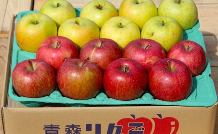 りんご 【 12月発送 】 糖度13度～家庭用 サンふじ ・ 王林 詰め合わせ 約 5kg