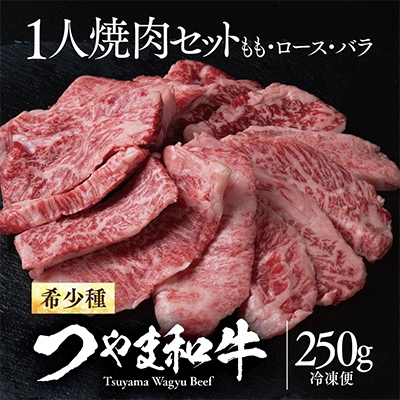 
                  つやま和牛1人焼肉セット　250g_肉 国産 和牛 つやま和牛 焼肉 焼き肉 やきにく 1人焼肉 焼肉セット 250g 牛肉 牛 にく ニク もも ロース バラ 岡山県 津山市 冷凍 送料無料【1400914】
                