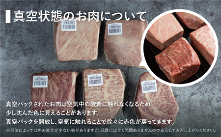 訳あり 飛騨牛 ブロック 赤身肉 500g JAひだ 訳あり S469