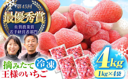 王様のいちご 摘みたてこおりいちご 4kg（冷凍いちご）いちごさん さがほのか【むらおか農園】フルーツ 果物 イチゴ [HAF004]