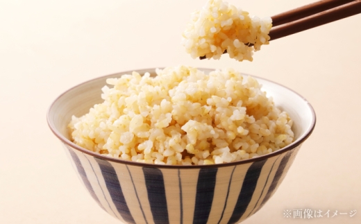 【令和8年産】【新米】【6回定期便】農家直送！特別栽培米ななつぼし【玄米】10kg| 株式会社きしもとファーム [BOBB027]