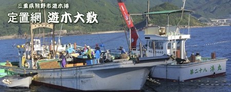新鮮！魚料理が自慢のお宿「民宿はまけん」ペア宿泊・定置網漁体験付きプラン【hmkn0002】
