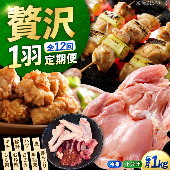 【ふるさと納税】【全12回定期便】鶏肉 冷凍 江田島産地鶏 冷凍 一黒シャモ 一羽 パック 合計約1kg 鶏肉 肉 お肉 にく おにく 国産 広島県産 江田島市/ポークアンドチキン江田島[XAH010] 鶏肉 精肉 とり肉 鳥 もも むね モモ ムネ 若鶏 無添加 地鶏 小分け パック