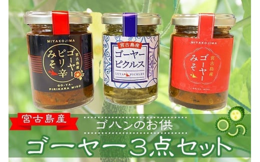 ゴハンのお供！宮古島産ゴーヤー3点セット
