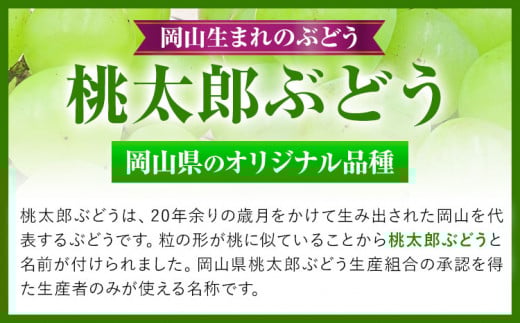 227.【先行予約】 岡山県産 桃太郎ぶどう  1房 (680g以上)  無加温栽培【配送不可地域あり】 《9月上旬-10月下旬頃出荷》 岡山県 矢掛町 ぶどう 葡萄 果物