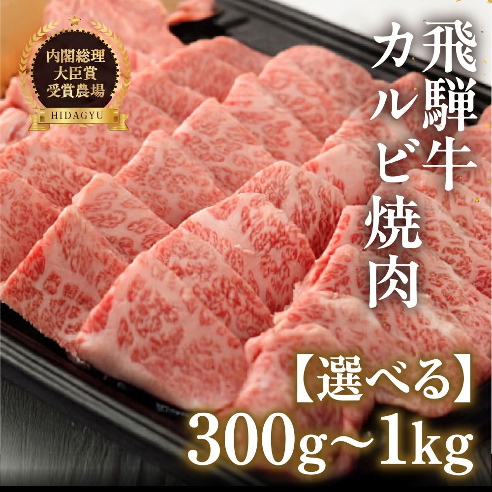 【ふるさと納税】飛騨牛 カルビ 300g／500g／600g／800g／1kg 【冷凍】飛騨牛 焼肉 焼き肉 オススメ 国産 和牛 牛肉 肉 和牛 赤身 焼肉用 カルビ バーベキュー BBQ 飛騨萩原畜産 ギフト 贈り物 新生活 20000円 2万円