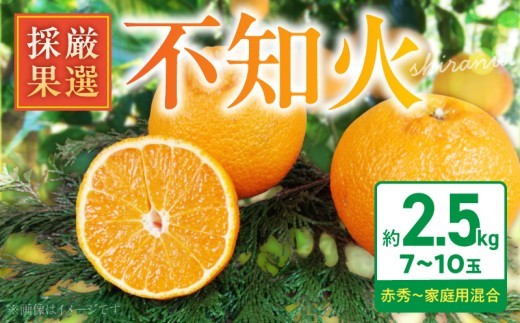 
                  【2027年先行予約】 庄助農園の不知火 約 2.5kg 7 ～ 10玉 厳選採果 不知火 赤秀 家庭用 混合 果物 みかん 柑橘 果実 デザート 庄助農園 お取り寄せ お取り寄せフルーツ 和歌山県 湯浅町 送料無料 _BK6020
                
