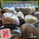 【ふるさと納税】 大洗産鹿島灘天然はまぐり 3kg 冷蔵 お吸い物 ハマグリ 蛤 貝 砂抜き処理 魚介類 大洗産 天然 はまぐり