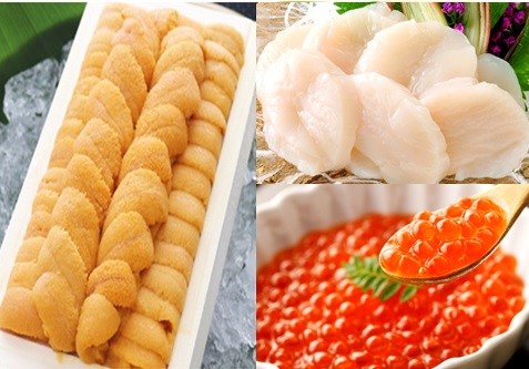 ＜12月10日決済分まで年内配送＞エゾバフンウニ140g×1折、いくら醤油漬け150g×1P、お刺身ホタテ貝柱500g×1P[11月上旬以降発送] E-53002