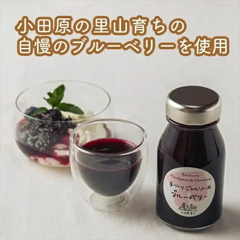 スイスで加工品を学んだ農家が作った手づくりジャムソース 32本セット 手作りみかん キウイ あまなつ ブルーベリー他 125ml 詰め合わせ ギフト【 家庭用 自宅用 贈答品 贈答用 ギフト お取り寄