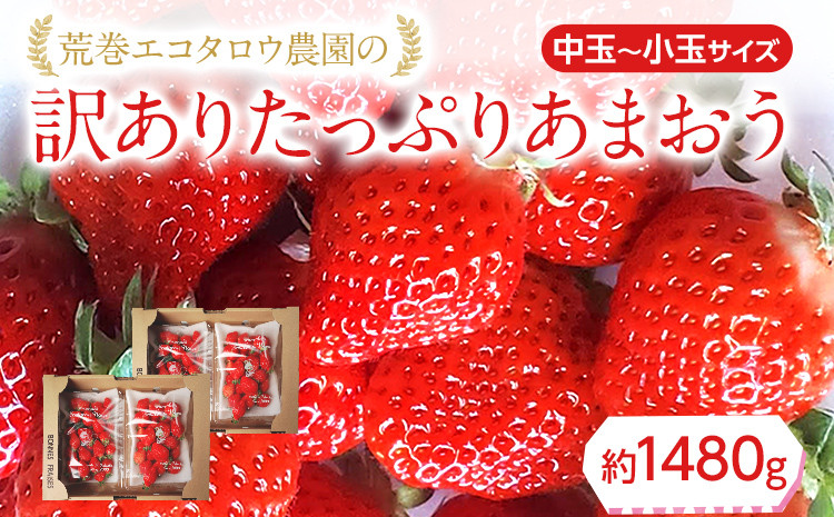 
            荒巻エコタロウ農園のちょっと小ぶりなたっぷりあまおう1,480g（約370g×4パック) 　中玉～小玉サイズ サイズ不揃い 【2025年2月～4月末にかけて順次出荷予定】BJ02
          