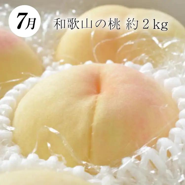 【定期便】【3か月】和歌山産フルーツ定期便！人気の 桃 梨 ピオーネ【tkb114】