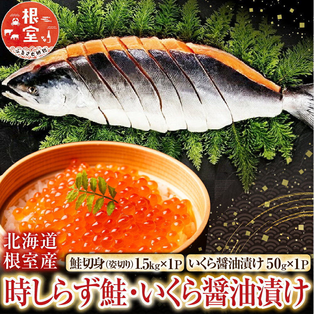 【ふるさと納税】 [北海道根室産] 時しらず鮭 1.5kg × 1P ・いくら醤油漬け 50g × 1P 鮭 さけ サケ しゃけ シャケ 魚 さかな サカナ 沖どれザケ 沖どれざけ 春ザケ 春ざけ 春鮭 時不知 時鮭 ときしらず 切身 イクラ 醤油 醤油漬 F-42013