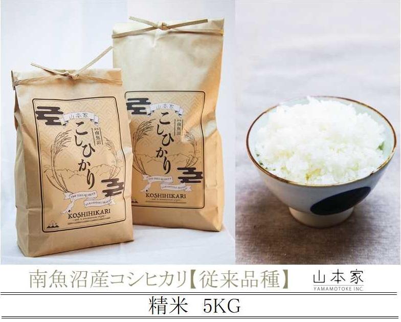 【予約Ｒ7年産　新米予約】南魚沼産コシヒカリ精米5kg 山本家【従来品種】【2025年10月上旬より順次発送予定】