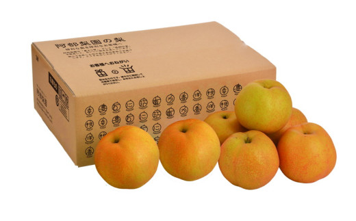 阿部梨園の梨（3kg　レギュラー箱）あきづき ※2026年9月～発送