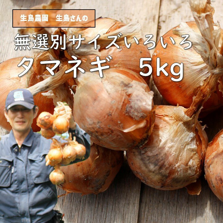 【ふるさと納税】【先行予約】タマネギ 生島農園 いくしまさんのたまねぎ（5kg）サイズ無選別（たまねぎ、玉葱） ｜ 煮込み料理 常備菜 多用途 ※離島への配送不可 ※2026年6月上旬頃～10月下旬頃までに順次発送予定