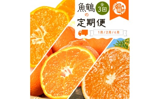 
            【全3回】紀州和歌山産旬の柑橘定期便(みかん・不知火・清見オレンジ)【tkb384】
          