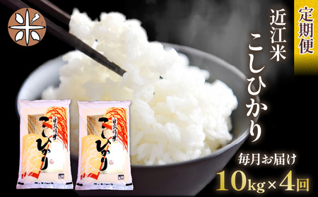 令和7年産 米 こしひかり 定期便 10kg 全4回 白米 5kg × 2袋 4ヶ月 近江米 コシヒカリ 国産 お米 米 おこめ ごはん ご飯 白飯 しろめし こめ ゴハン 御飯 滋賀県産 竜王 ふるさと ランキング 人気 おすすめ