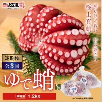 ふるさと納税 若狭町 【毎月定期便】茹でまだこ 福井県産 1.2Kg (2〜3杯)全3回