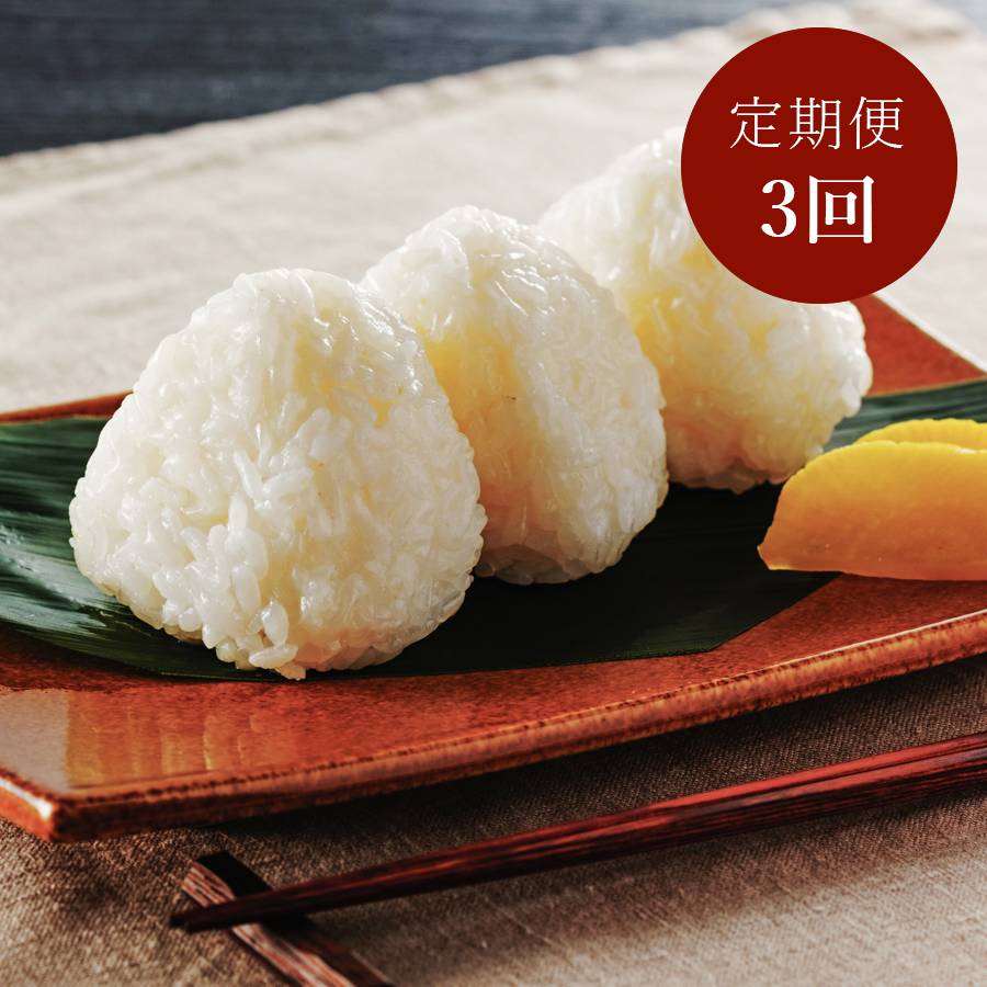 ＜アイガモの谷口＞”農薬不使用栽培米”「塩おむすび」12個【3ヵ月定期便】