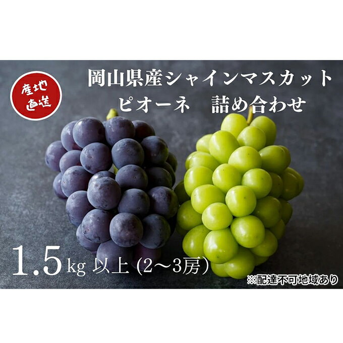 【ふるさと納税】厳選 シャインマスカット・ニューピオーネ 2～3房 合計1.5kg以上 詰合せ 産地直送 朝採れ ぶどう 葡萄 Kawahara Green Farm 岡山県産 2026年 果物 フルーツ 人気 甘い セット 　お届け：2026年8月25日～2026年9月30日