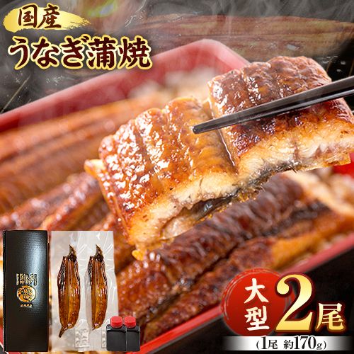 大型サイズ ふっくら柔らか国産 うなぎ 蒲焼き 2尾 化粧箱入(真空パック入) 株式会社魚鶴《30日以内に出荷予定(土日祝除く)》 和歌山県 日高川町 うなぎ 鰻 ギフト 贈り物