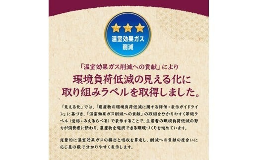 宮崎県産さつまいも　ミネラル栽培　紅はるか 2kg 【 宮崎県産 九州産 いも 芋 サツマイモ 野菜 】[C10401]