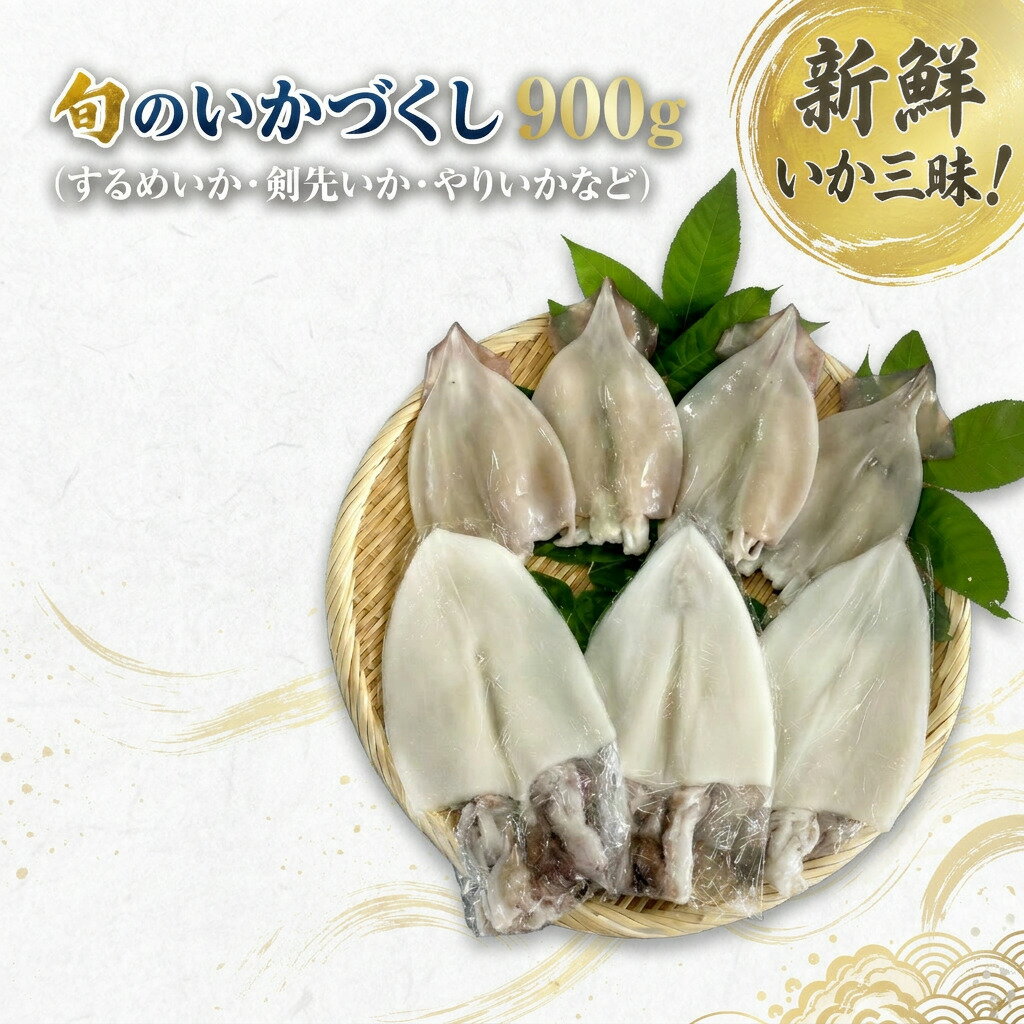 【ふるさと納税】旬のいかづくし 計900g いか するめいか 剣先いか 白いか やりいか 詰め合わせ 開き 贈答 ふるさと納税 いか 烏賊 ケンサキイカ 詰合せ セット いかの開き 開き干し 贈り物 プレゼント ギフト のし 熨斗 旬 新鮮 【033_1791】