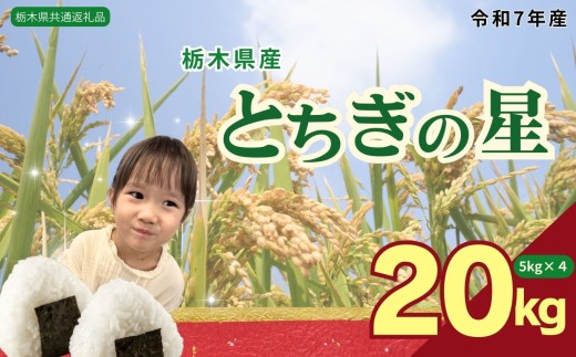 とちぎの星 20kg（5kg×4袋） | 米 こめ コメ kome 白米 精米 お米 とちぎのほし トチギノホシ ﾄﾁｷﾞﾉﾎｼ 粘り 弾力 冷めても美味しい 丼もの カレー 栃木米 令和7年度米 令