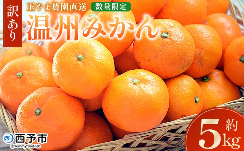 
            ＜【訳あり】温州みかん 約5kg 数量限定 産地直送＞ ワケアリ 家庭用 みかん ミカン うんしゅうみかん ウンシュウ 蜜柑 柑橘 フルーツ 果物 果実 くだもの 特産品 旬 玉やま農園 愛媛県 西予市【常温】
          